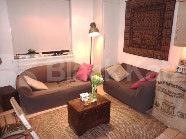 			NEW INSTRUCTION!, 1 Bedroom, 1 bath, 1 reception Flat			 Wicklow Street, KINGS CROSS